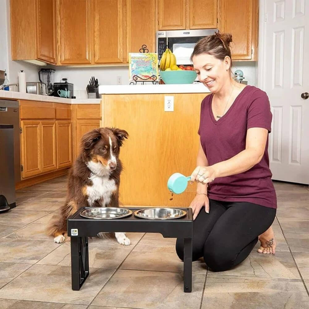 BowLift | PupLift Elevated Dog Bowl – Ergonomic & Slow Feeding for Healthy Meals