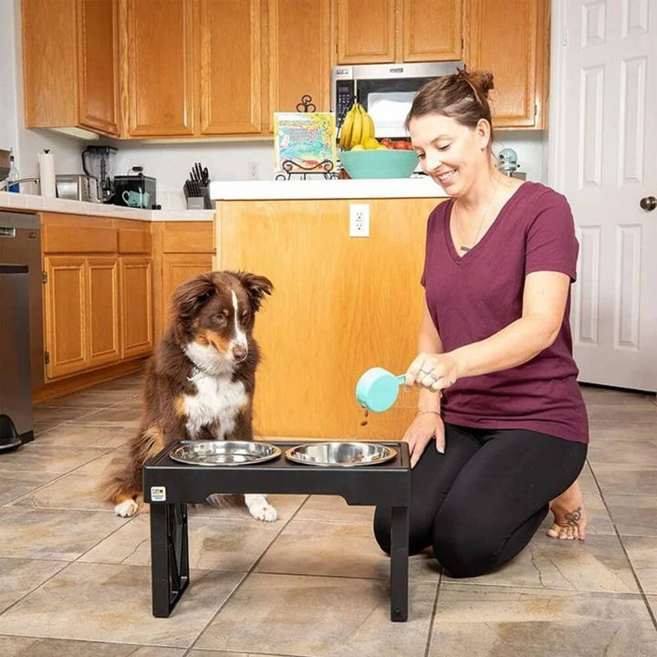 BowLift | PupLift Elevated Dog Bowl – Ergonomic & Slow Feeding for Healthy Meals