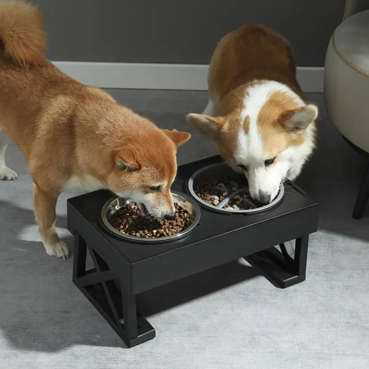 PupLift Elevated Dog Bowl – Ergonomic & Slow Feeding for Healthy Meals | Bowlift