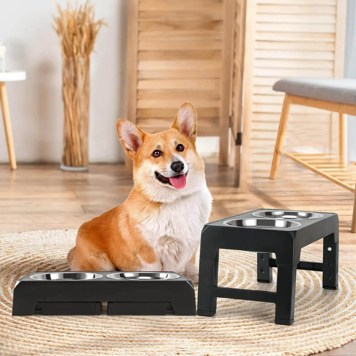 PupLift Raised Dog Bowl – Ergonomic & Slow Feeding for Healthy Meals | Bowlift