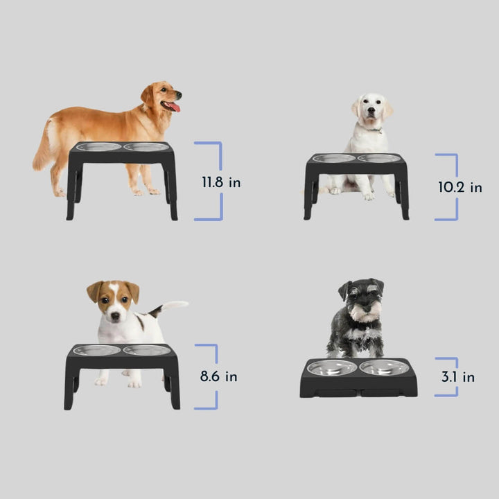 BowLift | PupLift Elevated Dog Bowl – Ergonomic & Slow Feeding for Healthy Meals