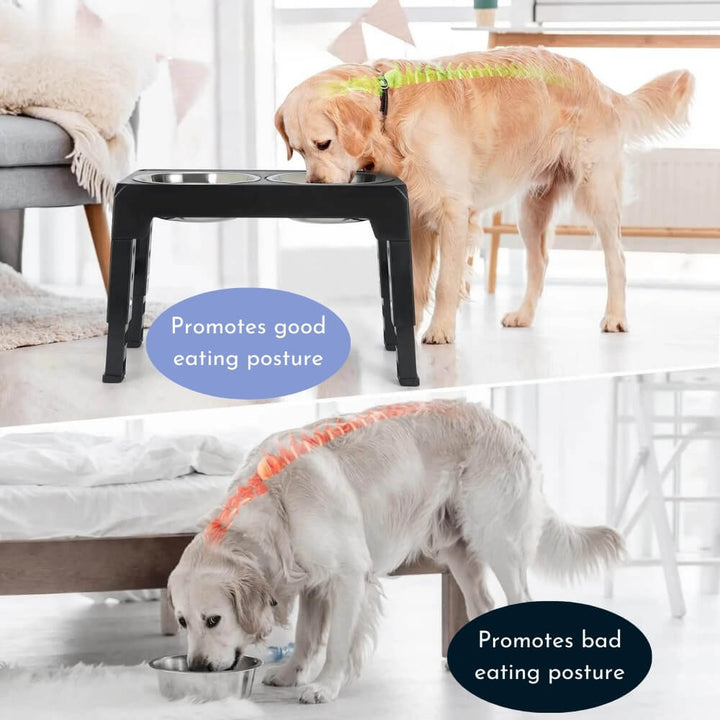 PupLift Elevated Dog Bowl – Ergonomic & Slow Feeding for Healthy Meals | Bowlift