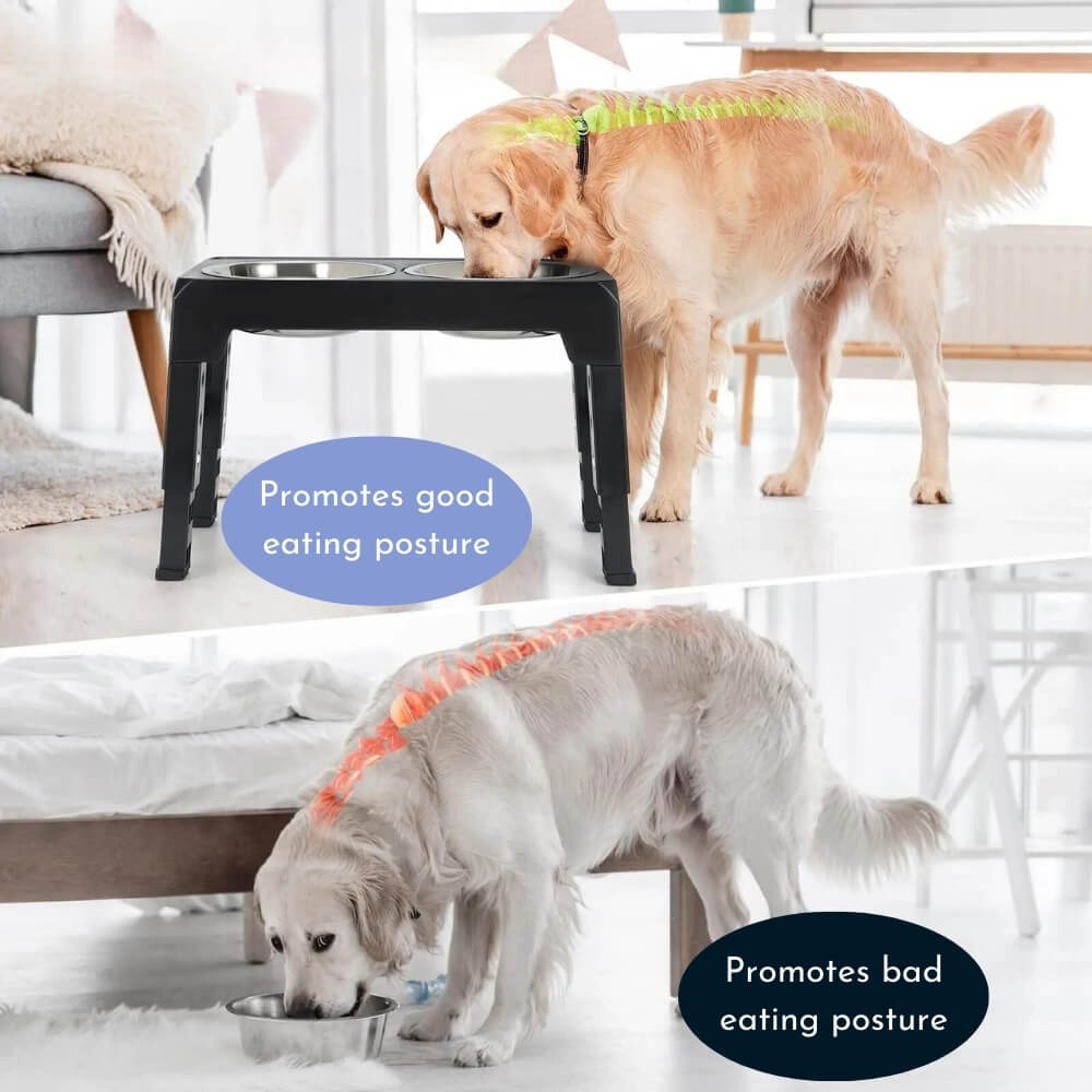 PupLift Raised Dog Bowl – Ergonomic & Slow Feeding for Healthy Meals | Bowlift