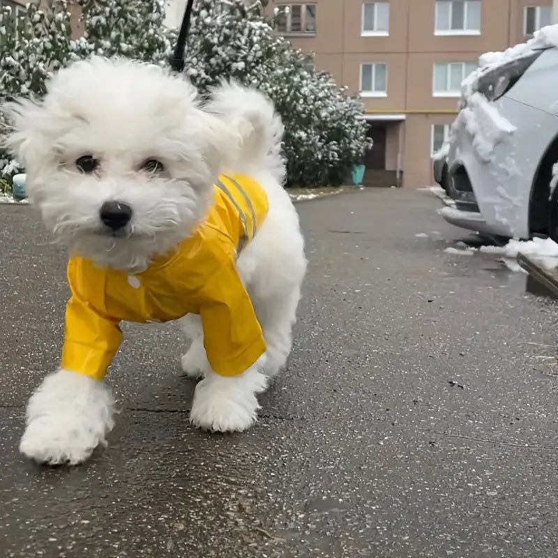 PupShield • Reflective Raincoat - Reflective Raincoat - BowLift