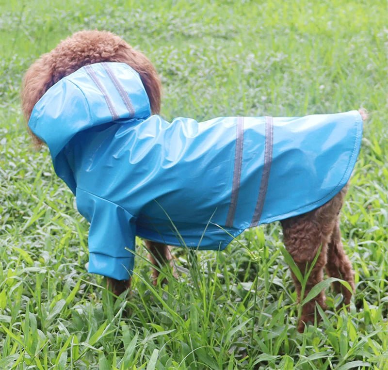 PupShield • Reflective Raincoat - Reflective Raincoat - BowLift