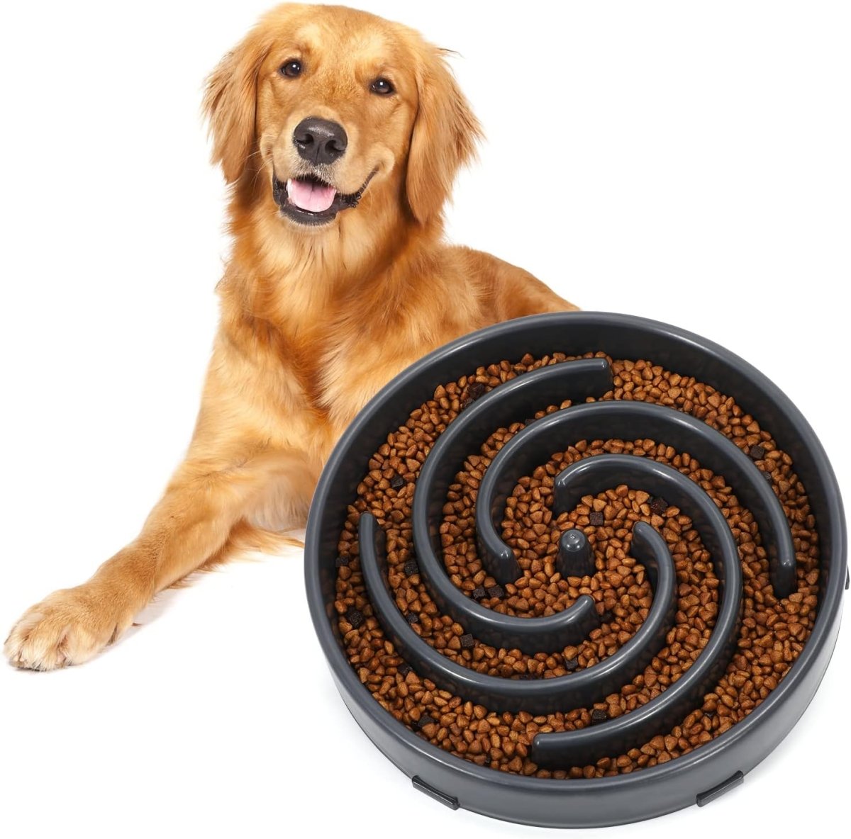 PuzzleFeast • Dog Feeding Bowl Slow - Dog Feeding Bowl Slow - BowLift