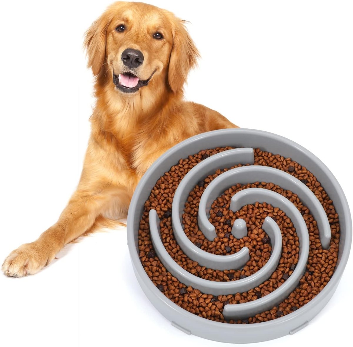 PuzzleFeast • Dog Feeding Bowl Slow - Dog Feeding Bowl Slow - BowLift