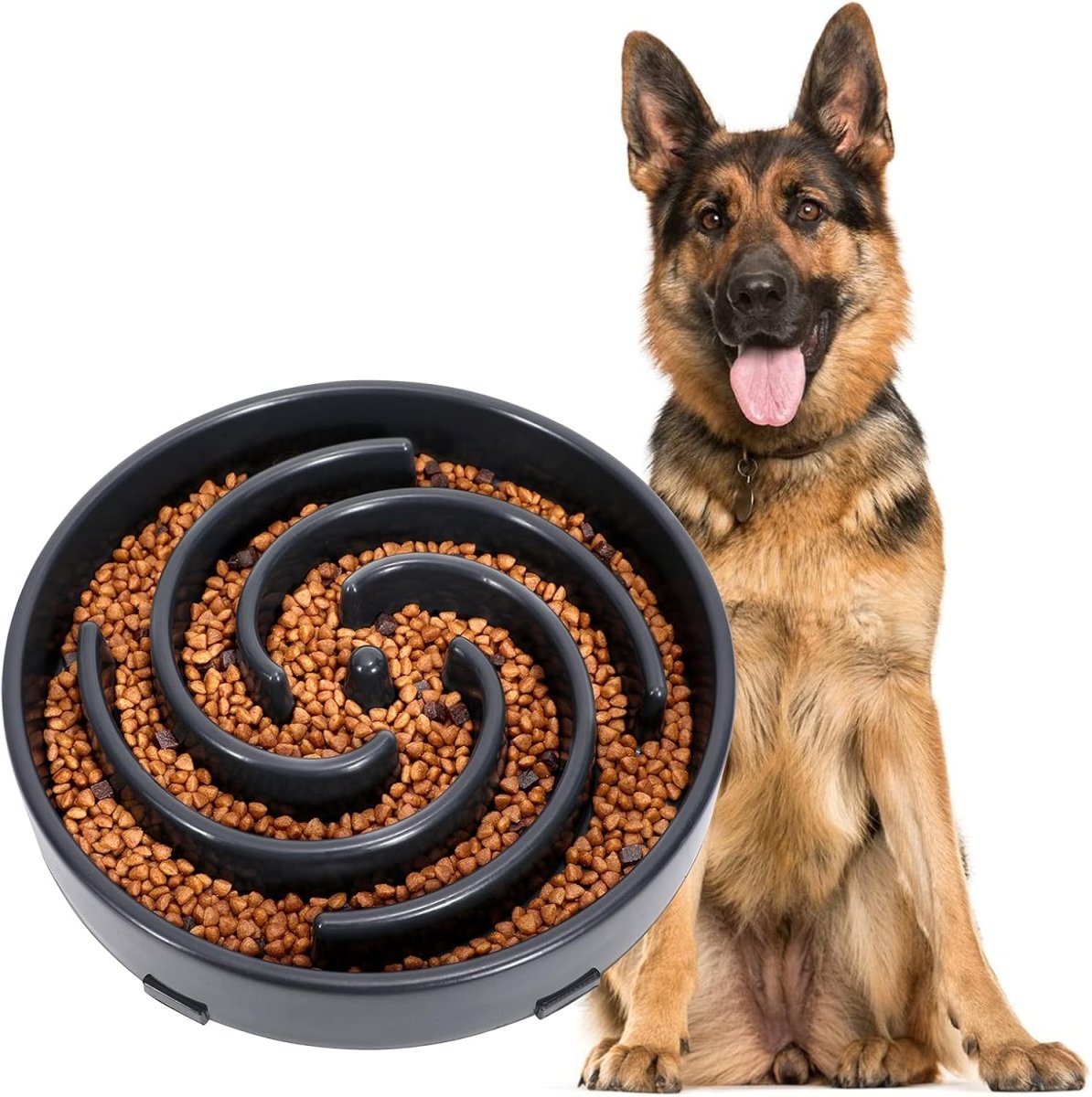 PuzzleFeast • Dog Feeding Bowl Slow - Dog Feeding Bowl Slow - BowLift