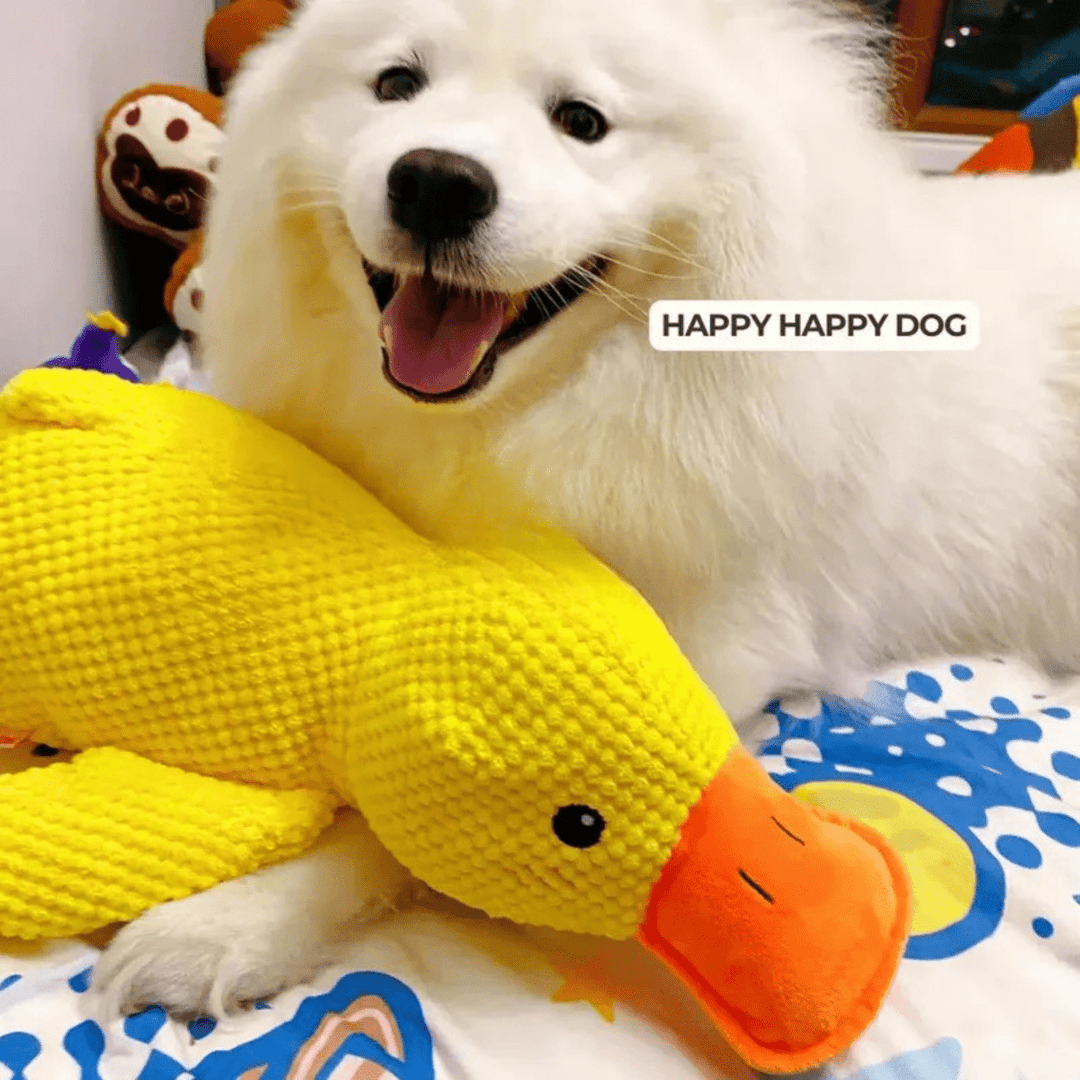 BowLift | PawVerve Plush Duck Toy for Dogs | Soft squeaky comfort toy for playful and relaxed pets