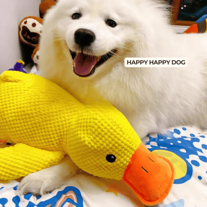 BowLift | PawVerve Plush Duck Toy for Dogs | Soft squeaky comfort toy for playful and relaxed pets