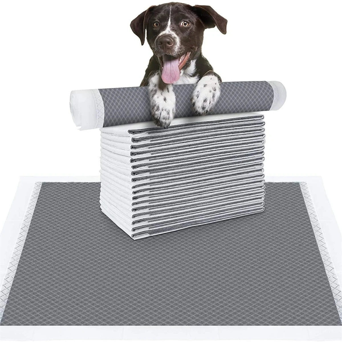 Quick Dry • Disposable Puppy Pee Pads - Dog Pee Pads - BowLift