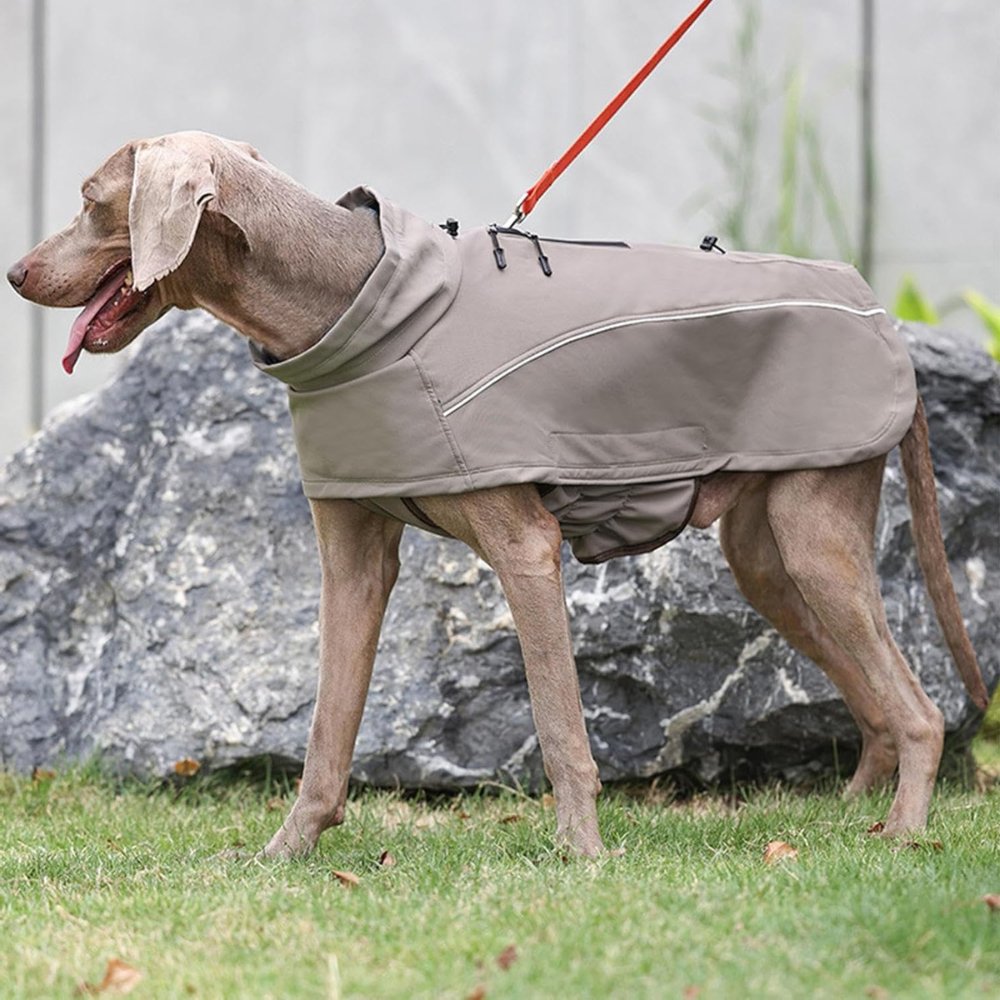 RainGuard • Softshell Dog Raincoat - Dog Raincoat - BowLift