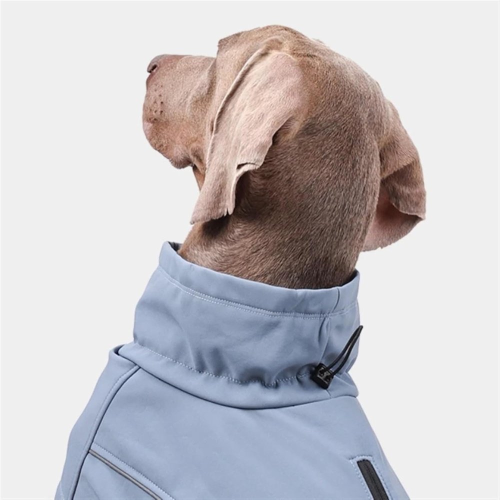 RainGuard • Softshell Dog Raincoat - Dog Raincoat - BowLift