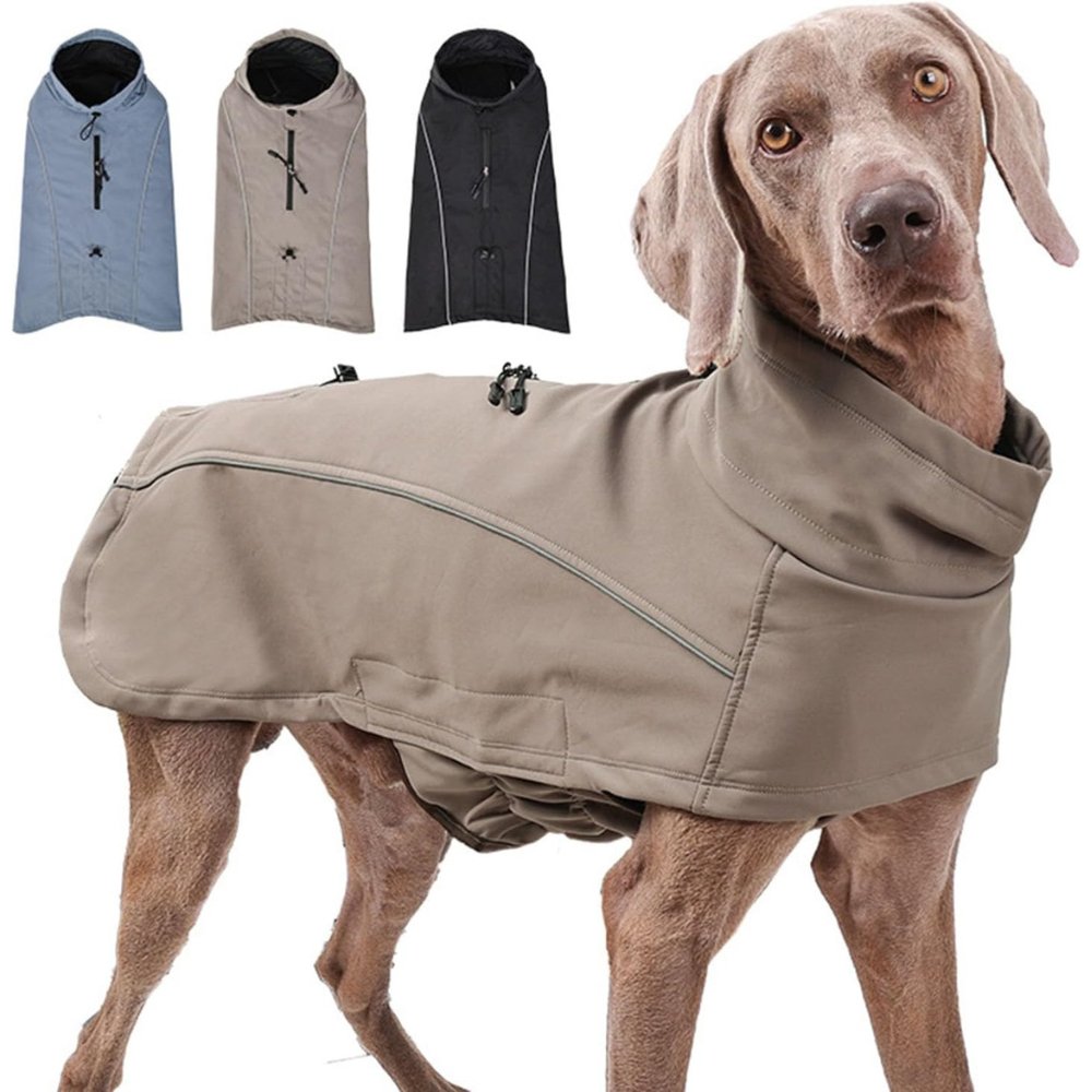 RainGuard • Softshell Dog Raincoat - Dog Raincoat - BowLift