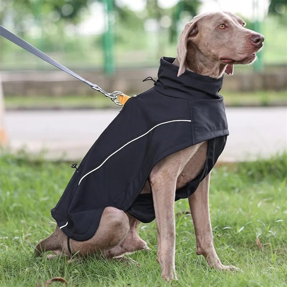 RainGuard • Softshell Dog Raincoat - Dog Raincoat - BowLift