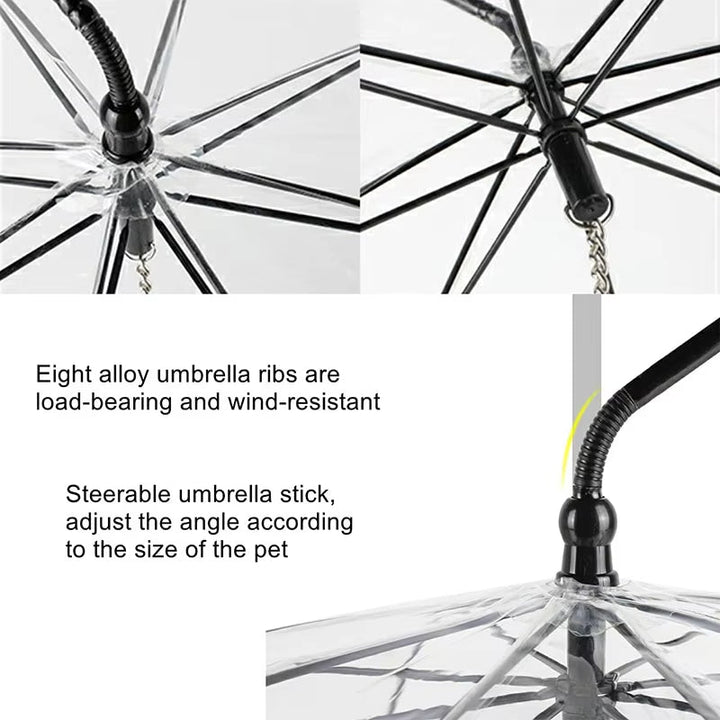 BowLift | WALKDRY Clear – Wind-Resistant Pet Umbrella with Quick-Clip Leash