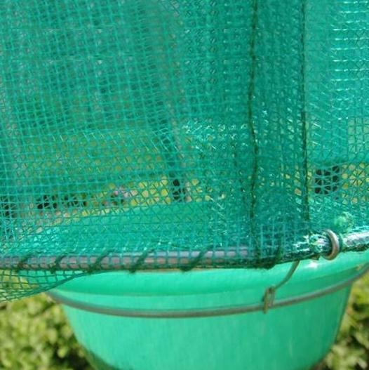 BowLift | Ranch Pest Control Fly Trap