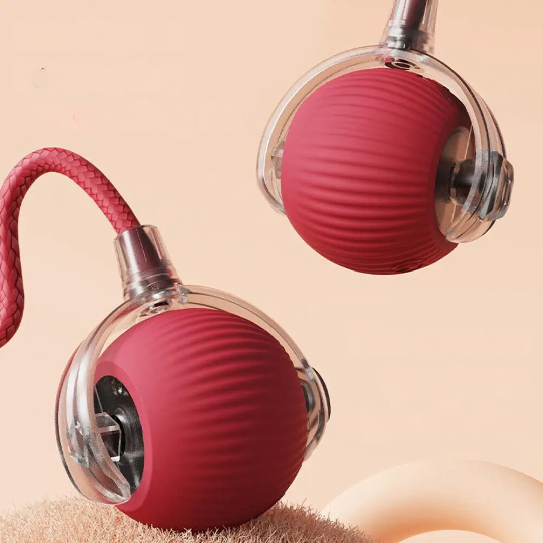 BowLift | Interactive Rolling Ball Toy with Tail for Cats