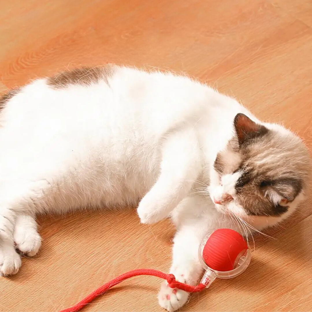 BowLift | Interactive Rolling Ball Toy with Tail for Cats