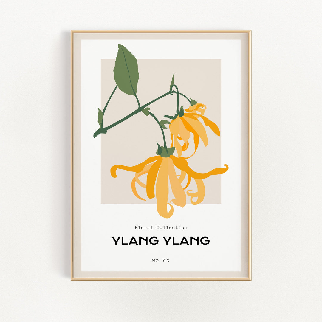 Ylang Ylang | Bowlift