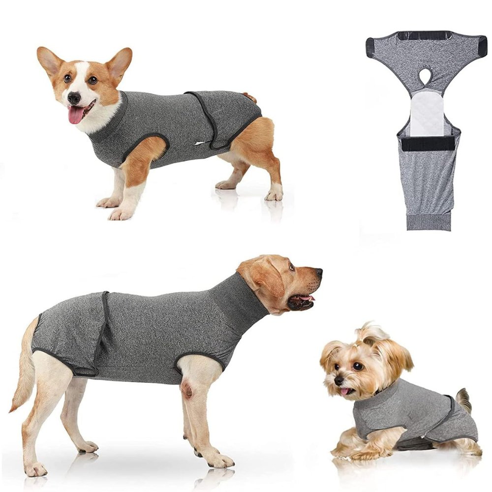 RecoverEase • Professional Dog Recovery Suit - Dog Recovery Suit - BowLift