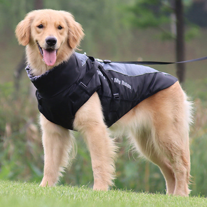 Reflective Dog Jacket with Harness - GlowPaw™ Bowlift