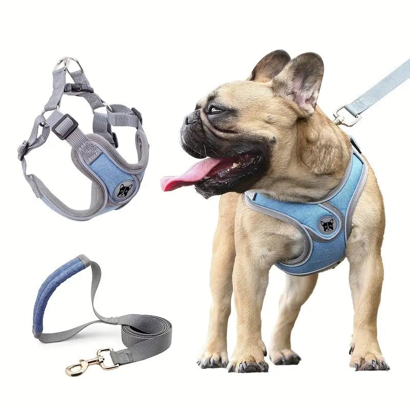 ReflectoLeash • No Pull Dog Harness - No Pull Dog Harness - BowLift