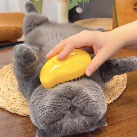 Cat brush with steam function | Bowlift