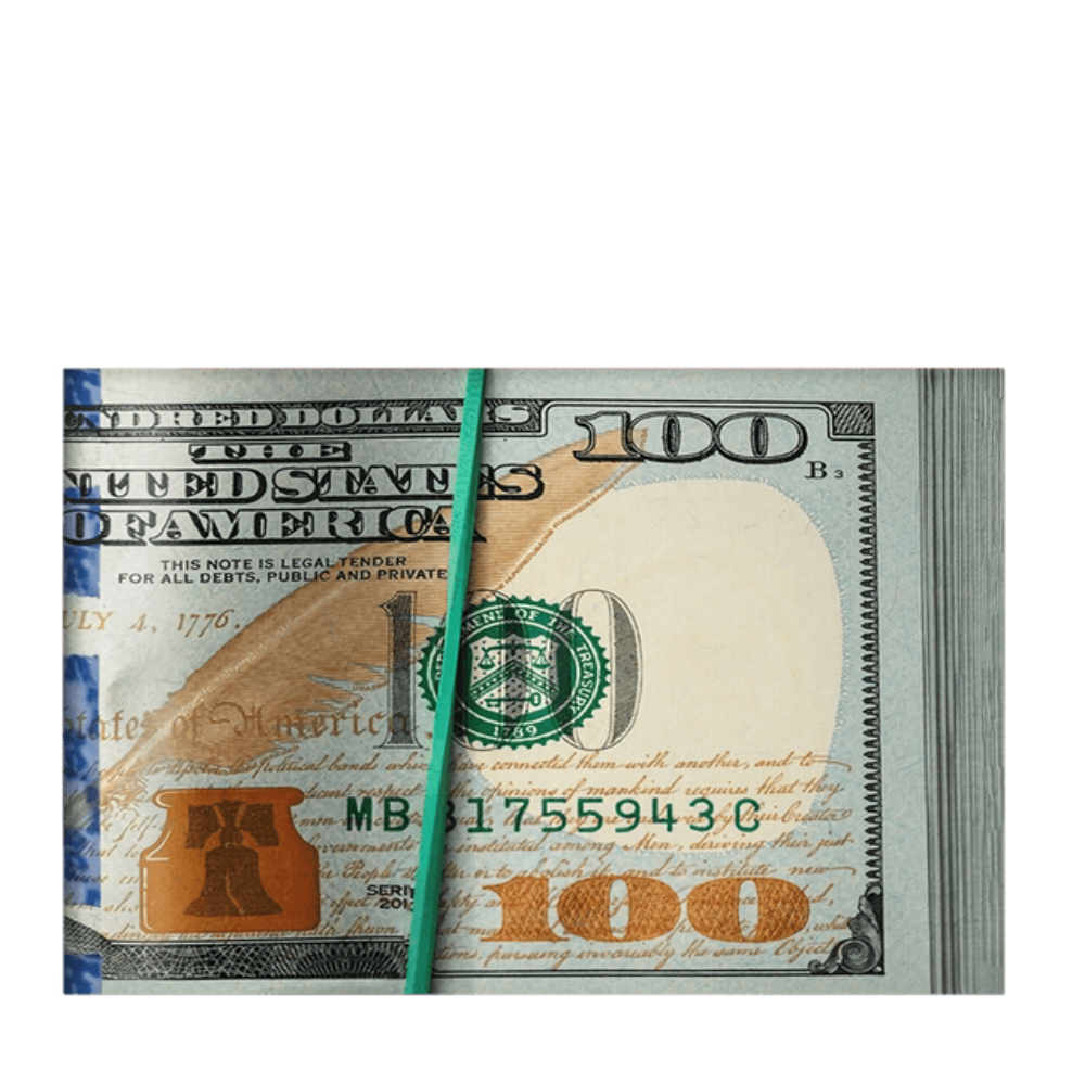 Money Bill - Canvas Wall Art Painting | Bowlift