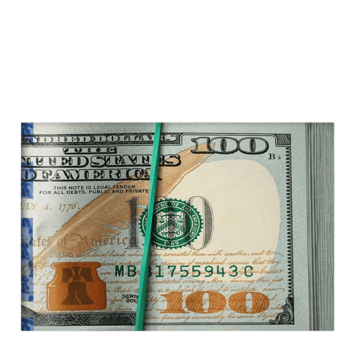 Money Bill - Canvas Wall Art Painting | Bowlift