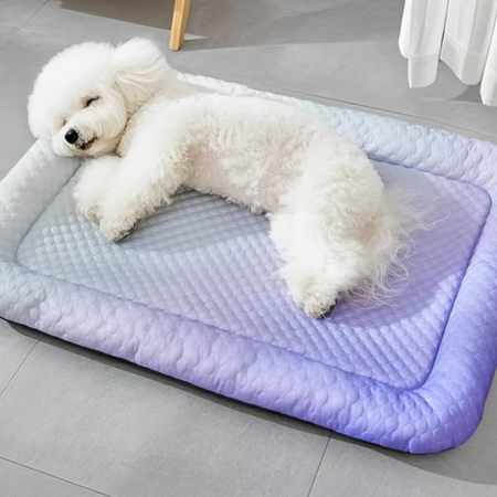 BowLift | Ice Silk Cooling Pet Bed for Dogs & Cats – Summer Comfort Nest