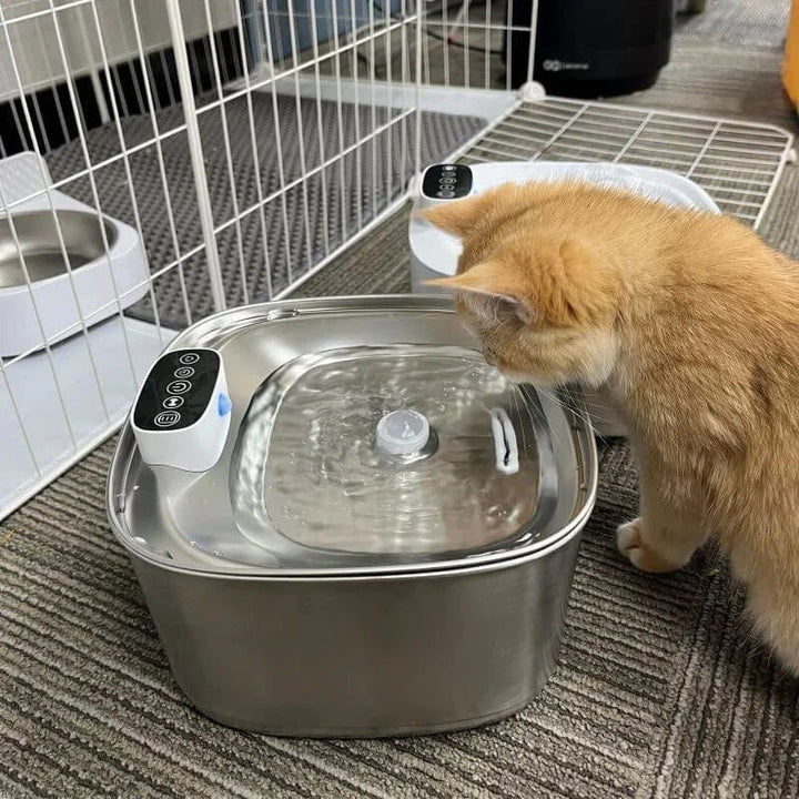 BowLift | Smart Drink Fountain for Cats and Dogs – 3.2L Stainless Steel with Filter