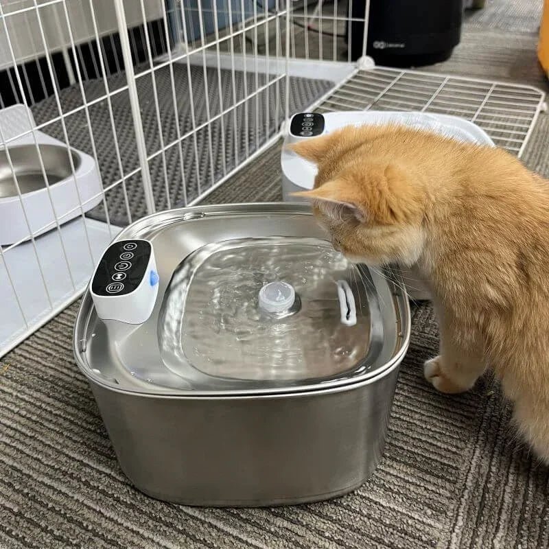 Smart Drinking Fountain for Cats and Dogs – 3.2L Stainless Steel with Filter | Bowlift
