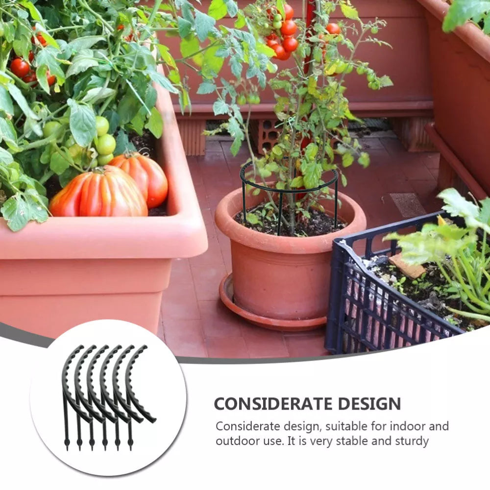 BowLift | Climbing support for plants – Robust holder with cage design for growth and stability