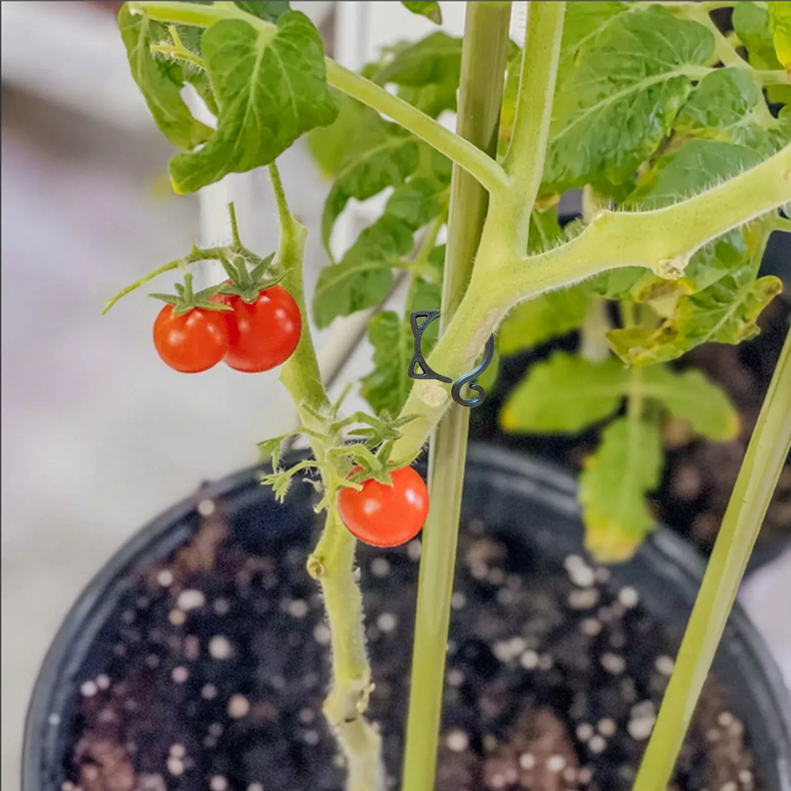 BowLift | Cat-shaped Plant Clip – Cute Plant Support for Garden and House Plants