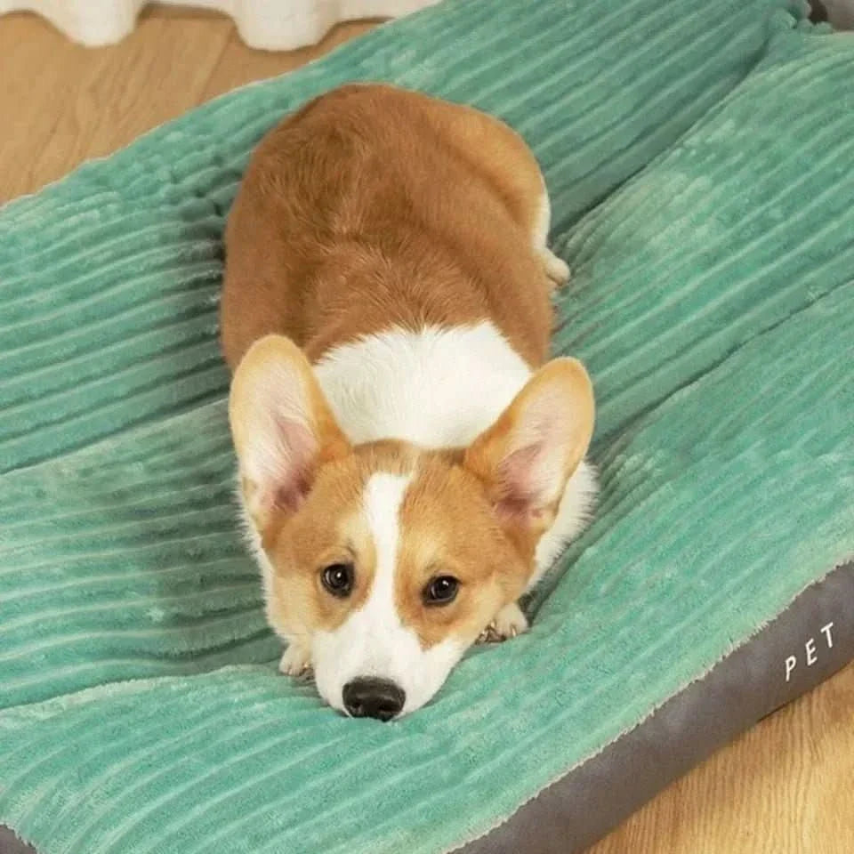 BowLift | Cozy & Supportive for Restful Nights