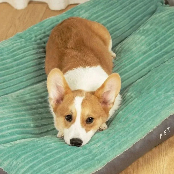BowLift | FLURRYPAW