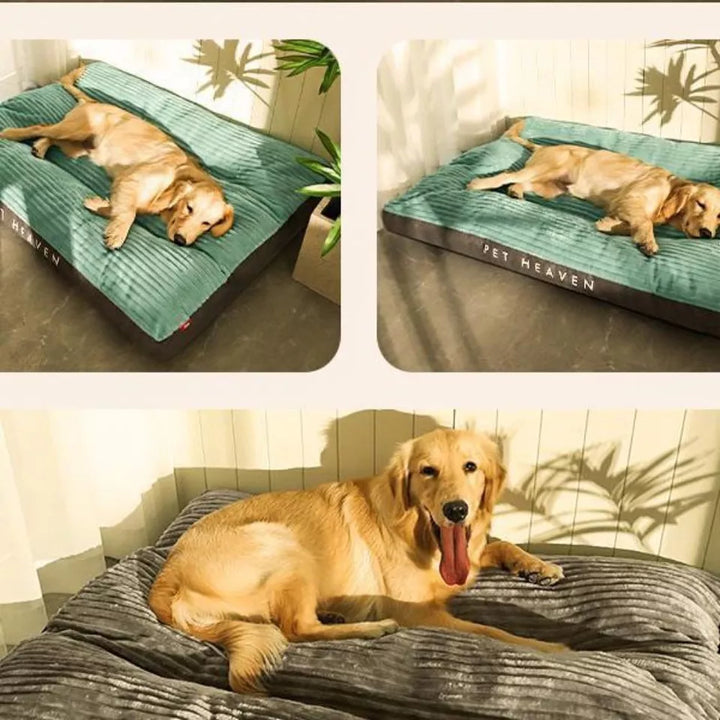 RelaxPaw – Orthopedic Dog Bed for Optimal Sleep Comfort Bowlift