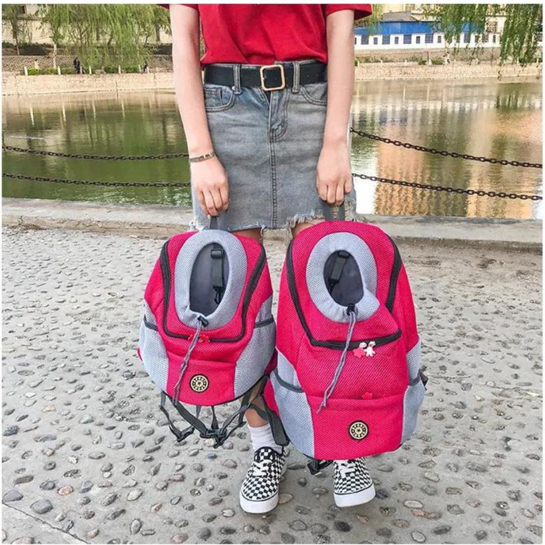 BowLift | PawCarry – Together everywhere on the go