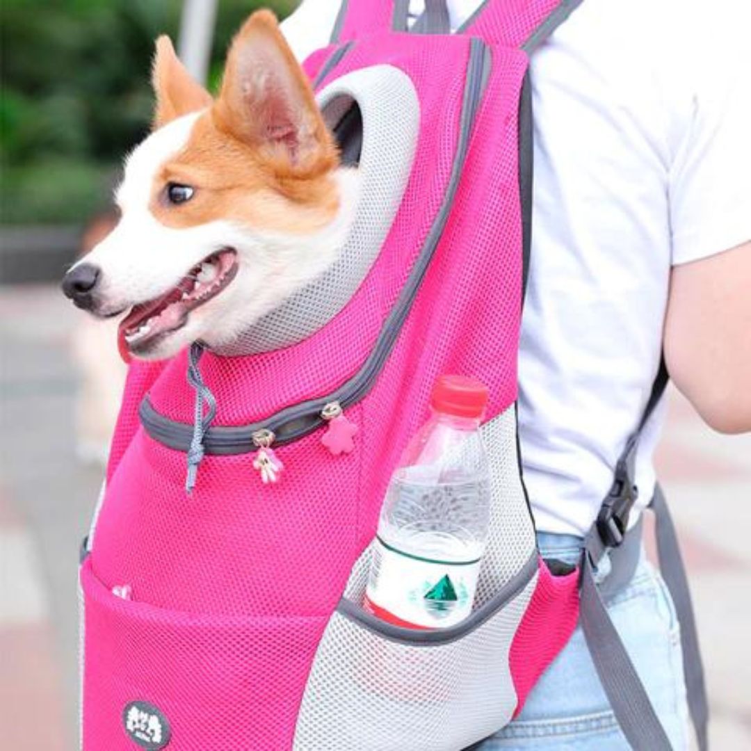BowLift | PawCarry – Together everywhere on the go