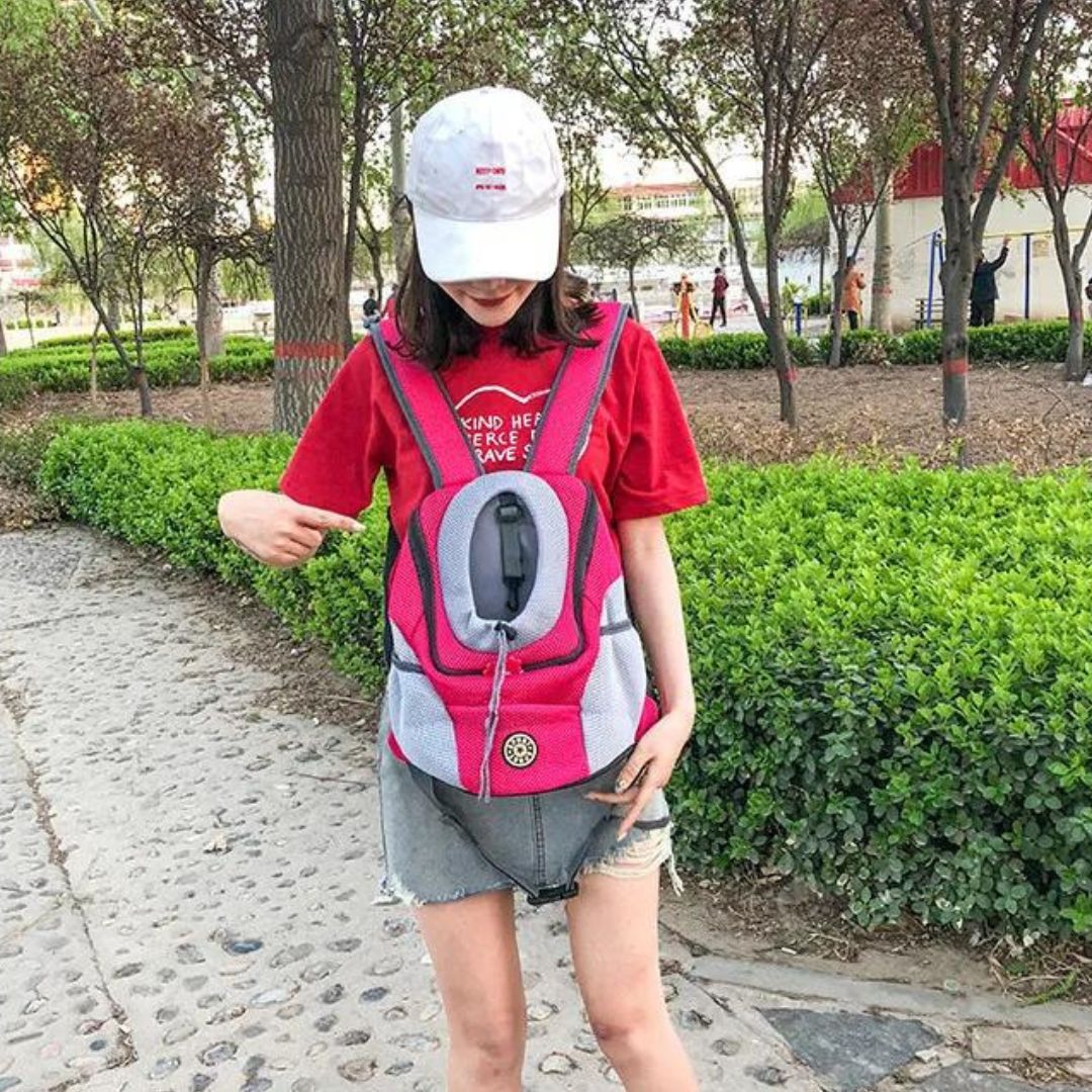 BowLift | PawCarry – Together everywhere on the go