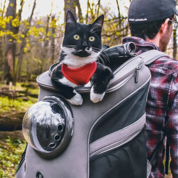 BowLift | Foldable Cat Travel Bag with Panoramic Window for Stress-Free Travel
