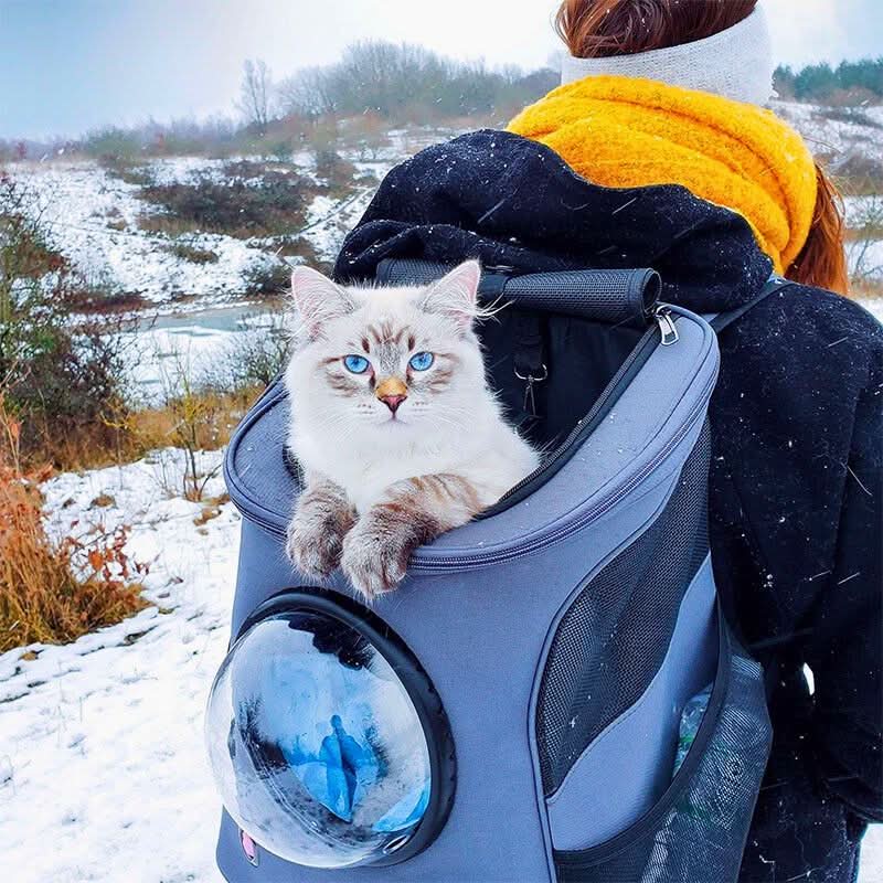 BowLift | Foldable Cat Travel Bag with Panoramic Window for Stress-Free Travel