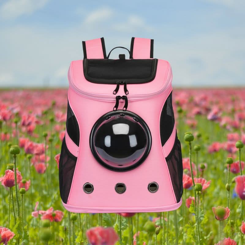 BowLift | Foldable Cat Travel Bag with Panoramic Window for Stress-Free Travel