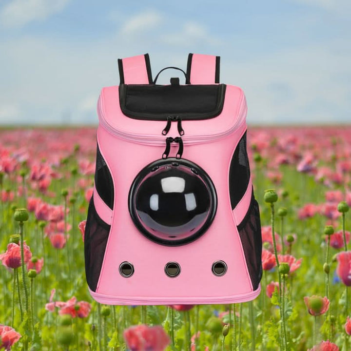BowLift | Foldable Cat Travel Bag with Panoramic Window for Stress-Free Travel