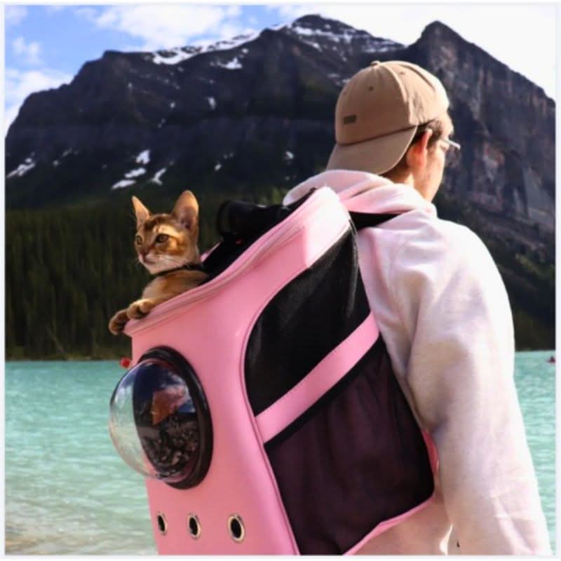 BowLift | Foldable Cat Travel Bag with Panoramic Window & Comfort Design