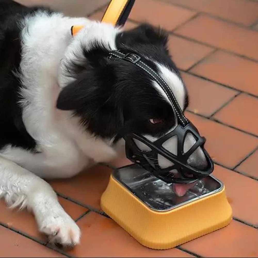 SafeBark • Dog Muzzle - Dog Muzzle - BowLift