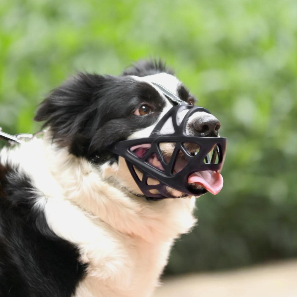 SafeBark • Dog Muzzle - Dog Muzzle - BowLift