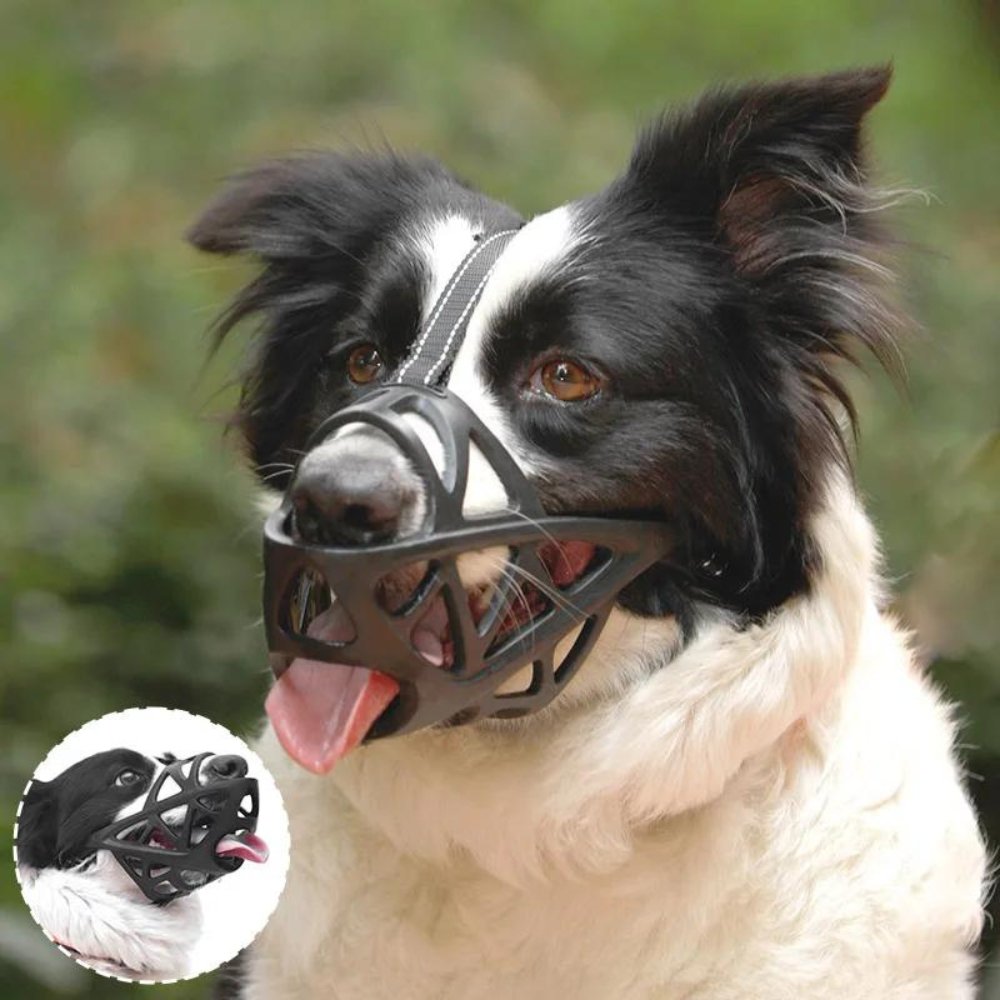 SafeBark • Dog Muzzle - Dog Muzzle - BowLift