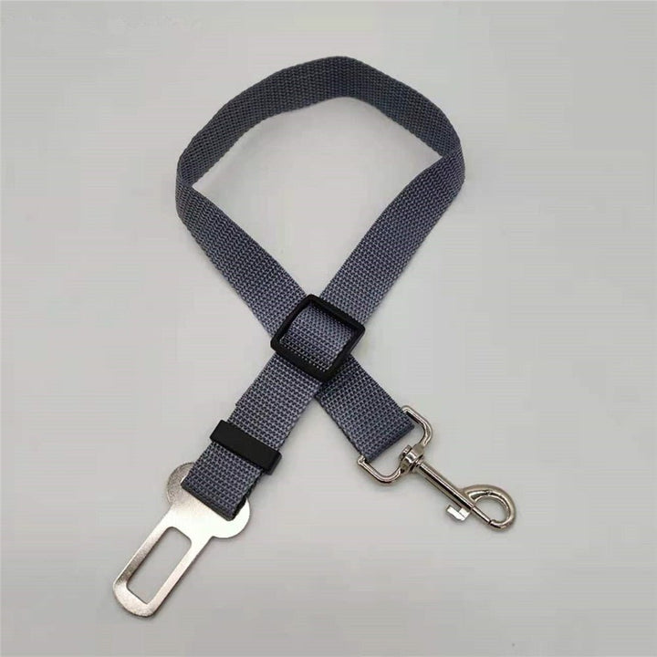 BowLift | PETLOCK – Adjustable Dog Seat Belt for Safe Car Travel
